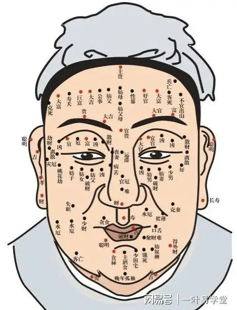 相学中的痣相分析