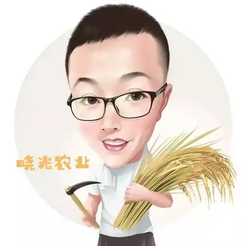 可爱卡通头像,创业卡通头像