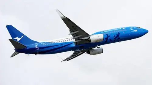 厦航"大兴号"涂装飞机首飞