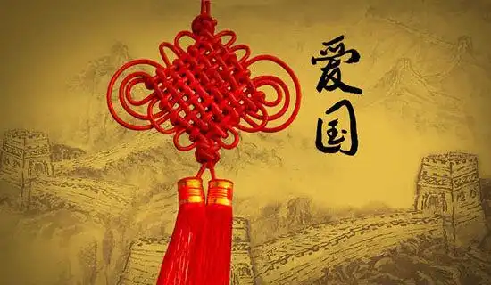 爱国的读后感作文400字