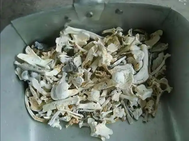 其实很多人都被骗了|遗体|火化|骨灰_网易订阅