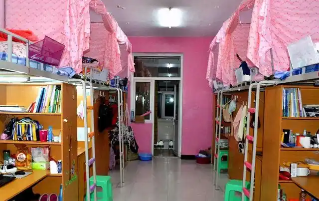 女大学生宿舍违禁品盘点不敢被老师发现网友直呼大开眼界