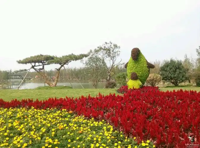 中国常州第八届花卉博览会照片