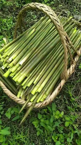 宽岭六号农家乐