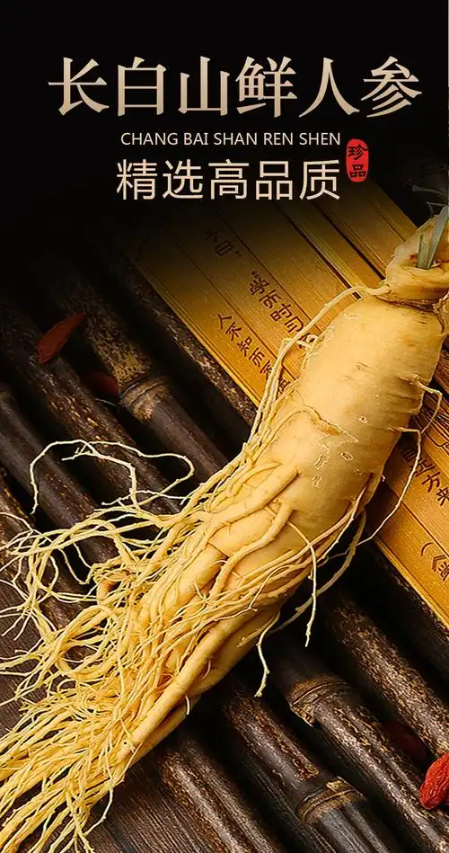 鲜人参长白山野山参正宗东北野叁泡酒专用特大即食非干货泡水鲜参 【9