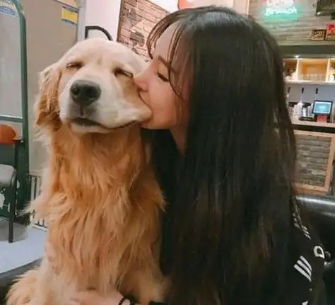 有狗狗的女生头像 - 搜狗图片搜索