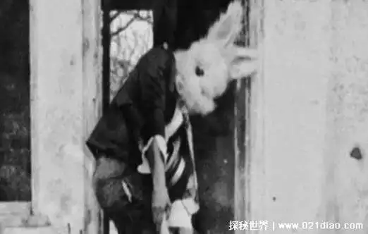 世界上有兔人吗,曾残忍杀死几十人(其实是美国都市传说)