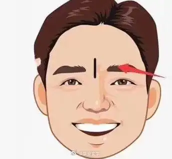眉毛中间有一竖纹被称之为"悬针纹",又名"恶死纹",面相上认为是刑克的