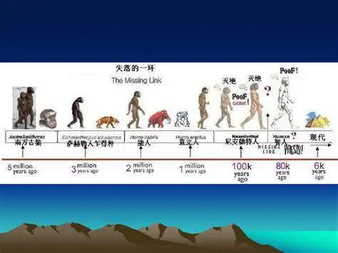 人类发展史人类进化阶段示意图