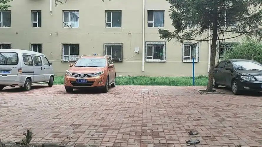 陈氏太极-梨花枪夹白猿棍