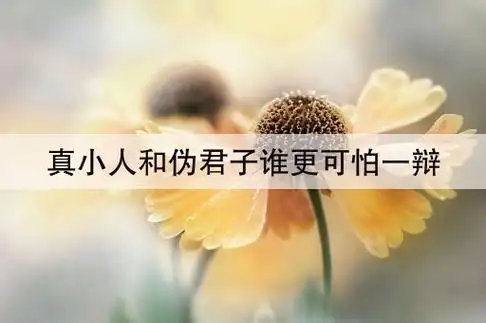 真小人和伪君子谁更可怕一辩(伪君子和真小人哪一个更可怕)