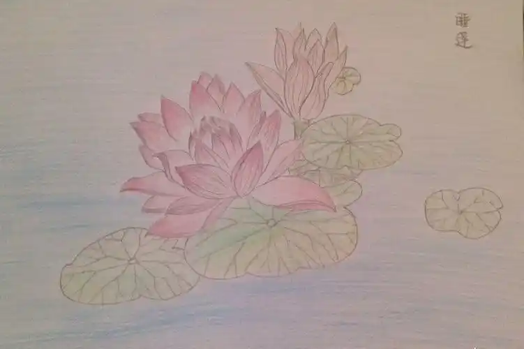 睡莲,图片,儿童画教程-学笔画