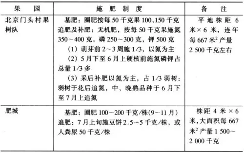 影响桃树施肥量的主要因素有哪些?如何确定桃树的施肥量?