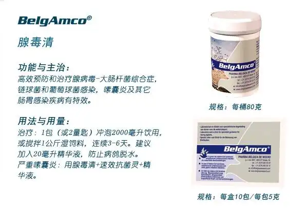 【腺毒清】迪威德鸽药5克*10袋盒粉产品展示--中信网鸽业大全