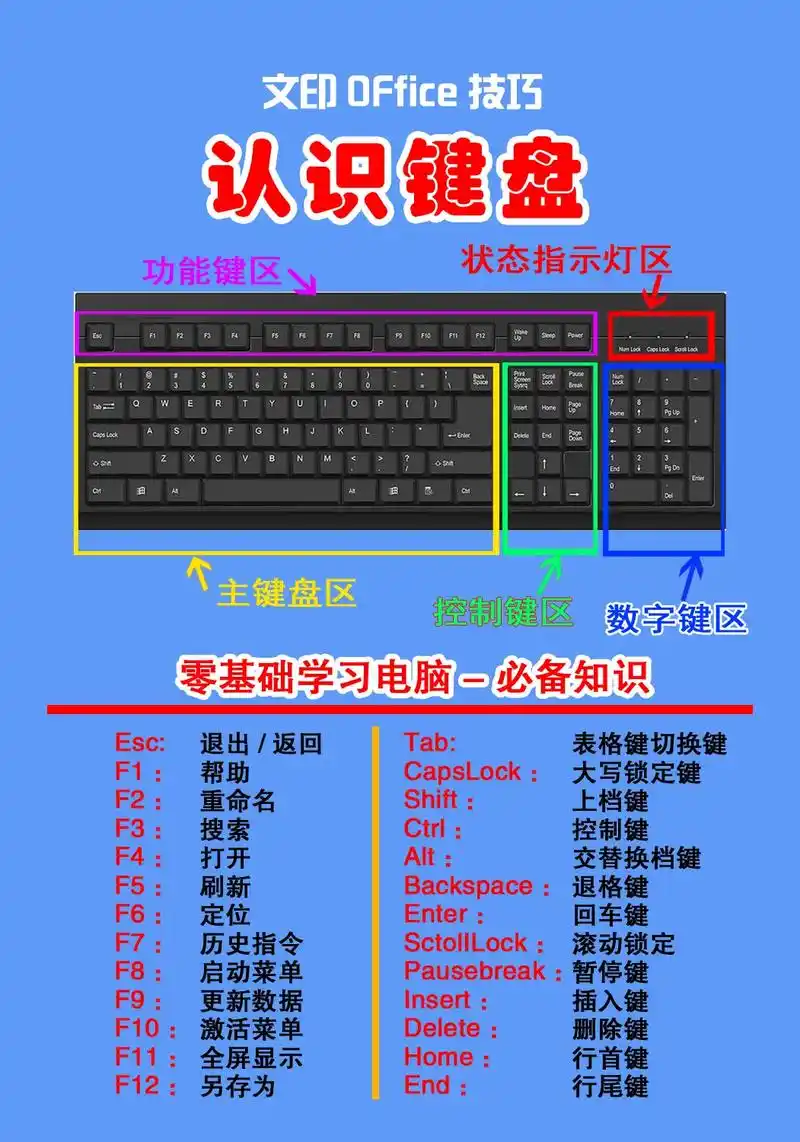 零基础学电脑从认识键盘,快捷键大全开始,打字手指分工,键盘功 - 抖音