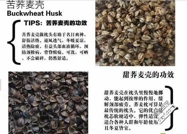 【全部取货】第4团 优质纯荞麦壳枕头 甜荞麦 苦荞麦 护颈健康枕头