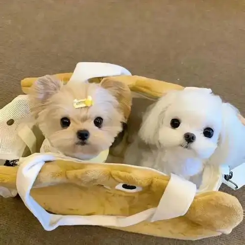 朋友圈背景图##每日一图