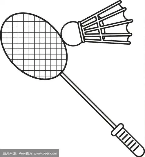 羽毛球拍羽毛球细线运动