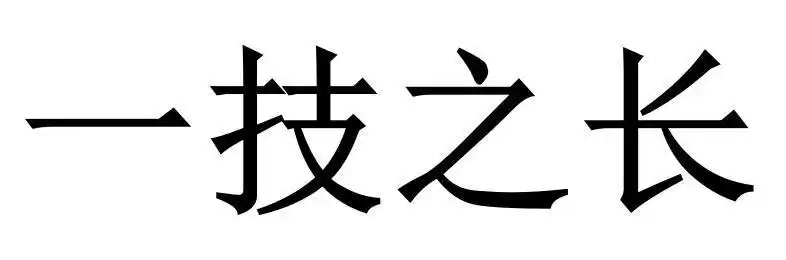 一技之长