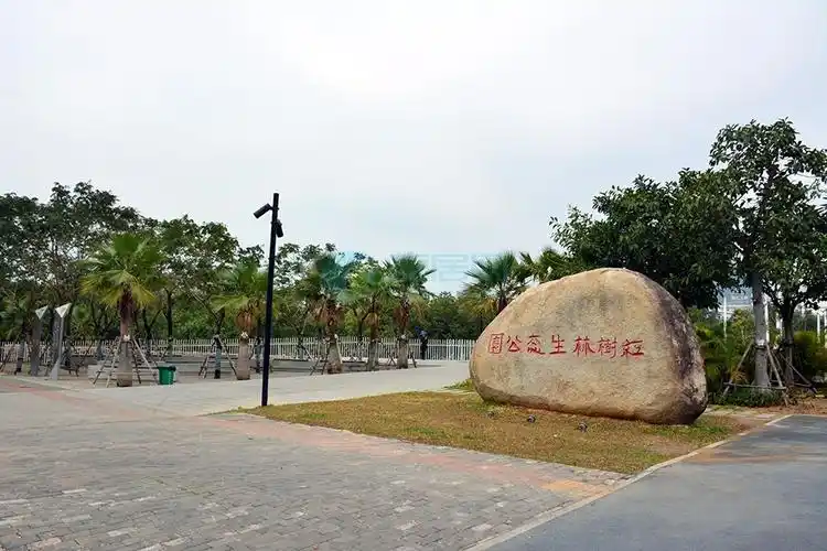 天悦湖畔红树林生态公园:入口