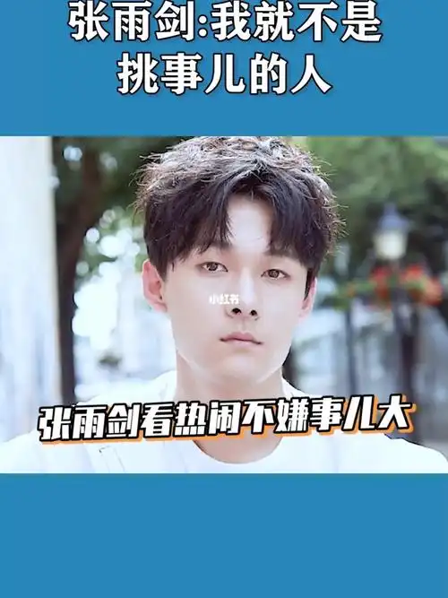 张雨剑我就不是挑事儿的人