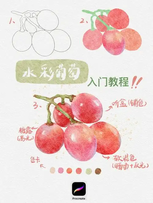 ipad水彩葡萄入门教程