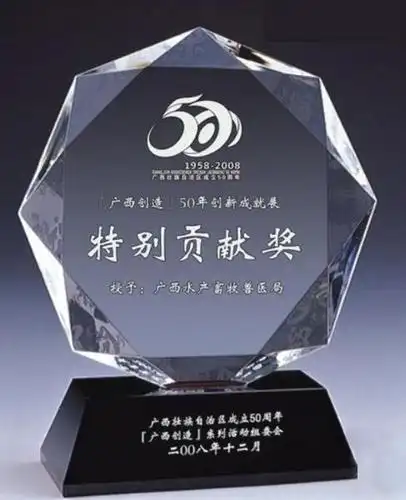 特别贡献奖牌