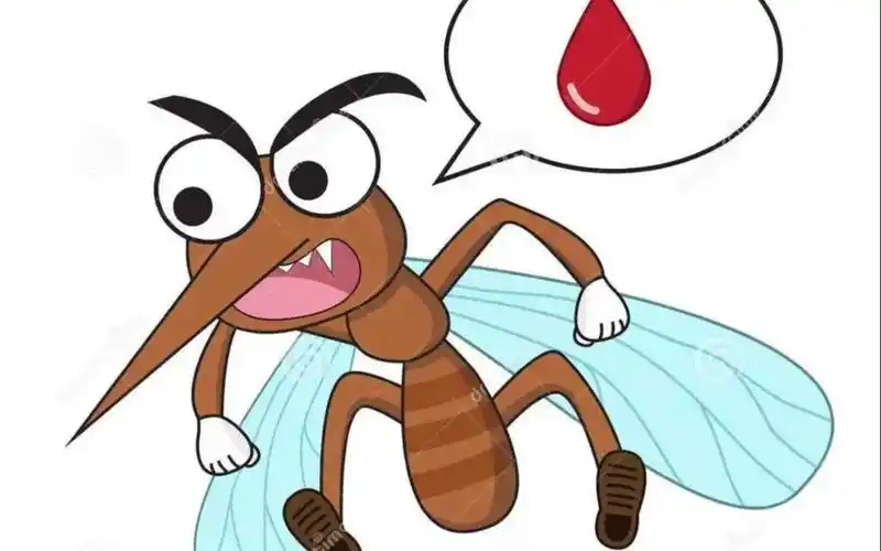 为何蚊子叮人找血管那么准确