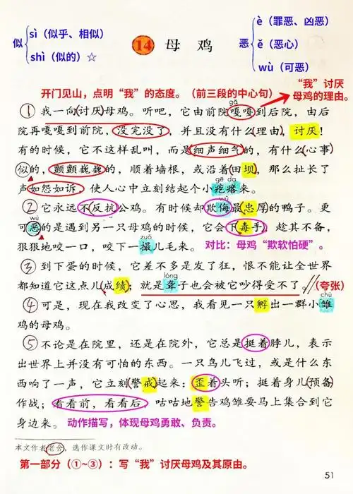 第14课母鸡课文精讲四年级下册课文就这样预习
