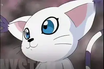 天使兽进化篇,满满的童年记忆_百度视频搜索