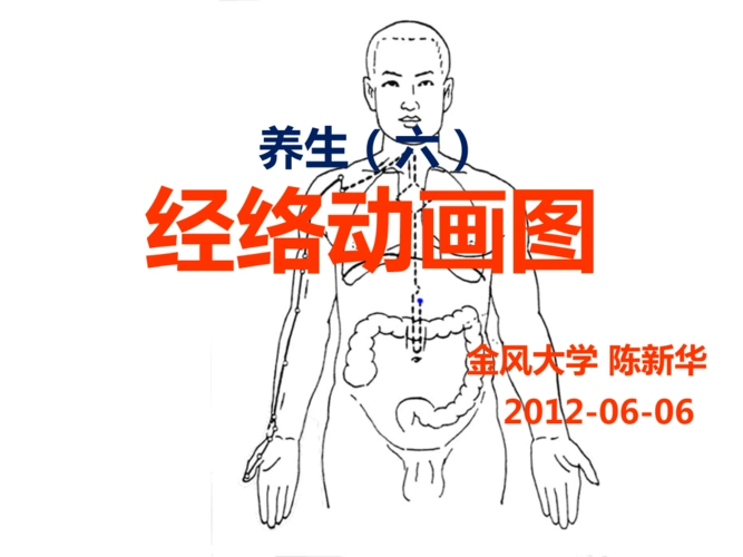 养生-六陈新华经络动画图课件.ppt