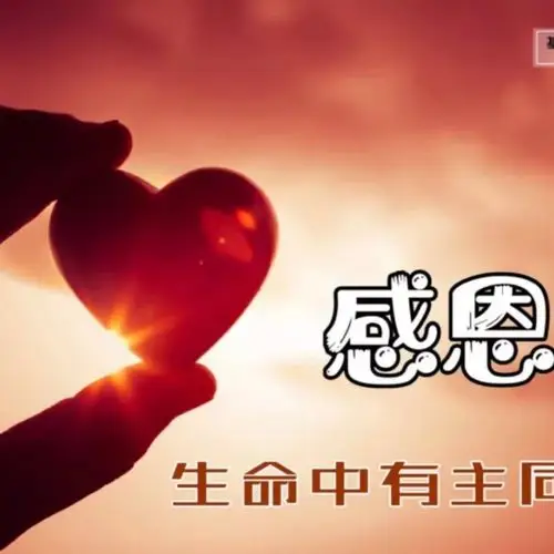 向主满怀感恩【女版c调无旋律】