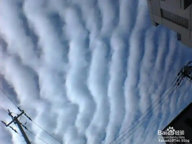地震的征兆及逃生