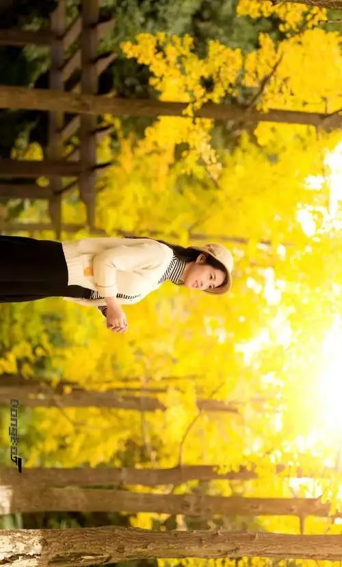 银杏树下的女孩