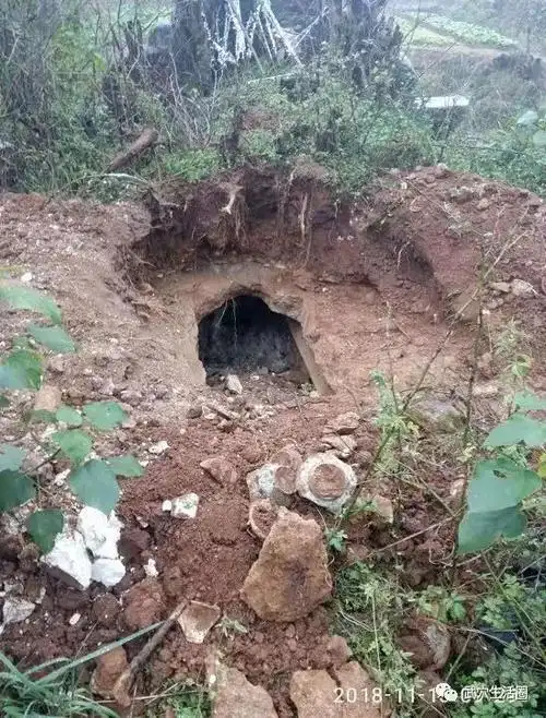 【奇闻】愤怒!三天前夜里,武穴大法寺某村一座祖坟居然被人刨了