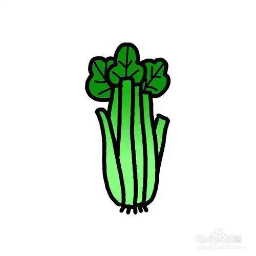 芹菜简笔画步骤
