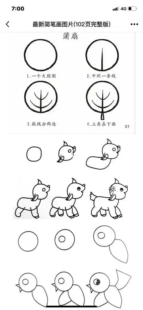 幼儿简笔画图谱高清