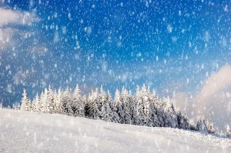 雪花飘飘的诗句