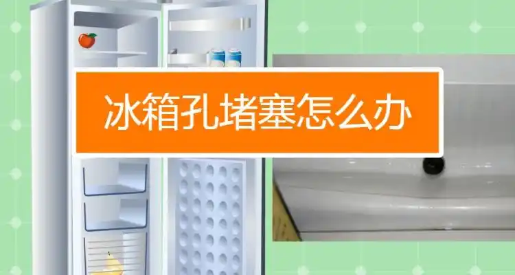 冰箱的排水孔在哪