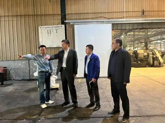 浦东新区副区长余颖带队开展"四不两直"环境信访问题专项检查