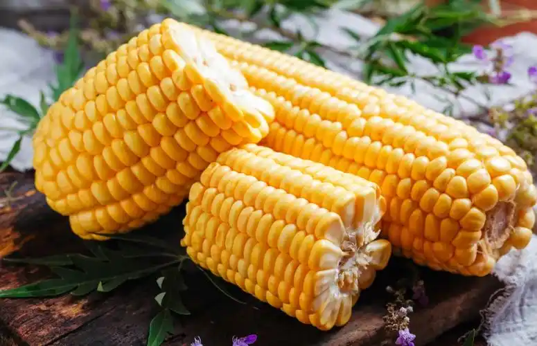 云南金银水果玉米新鲜10斤生吃玉米棒子粒粘糯新鲜玉米