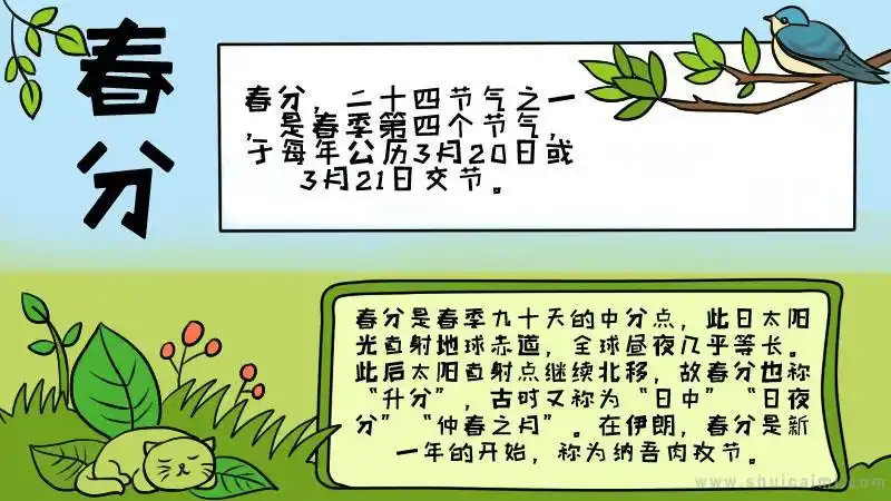关于小学生春分的手抄报怎么画小学生春分手抄报大全图片