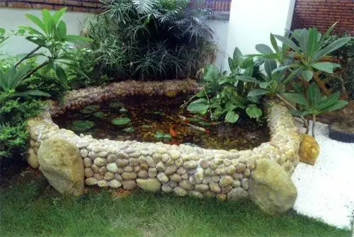 老公每天捡点石子回家,堆在阳台砌个小水池,看一整天都不觉得腻!