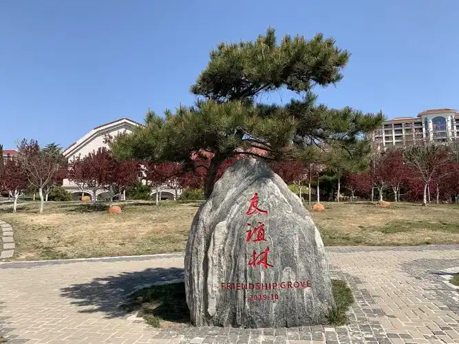 威海海源公园的四月天,清冷又明朗