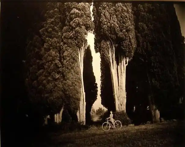 莎莉-曼sally mann(1951-美国)摄影作品集1