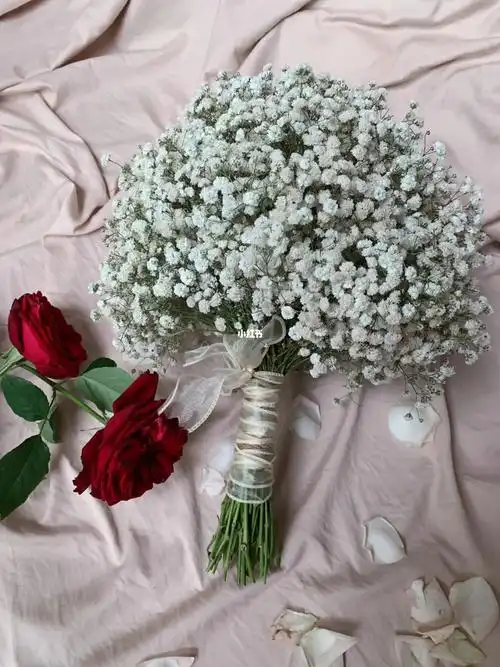 放了三天的满天星,我把它变成手捧花