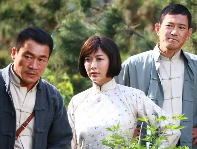 p>《烽火双雄》是金良言执导的一部抗战题材的电视剧,由 a href="#"