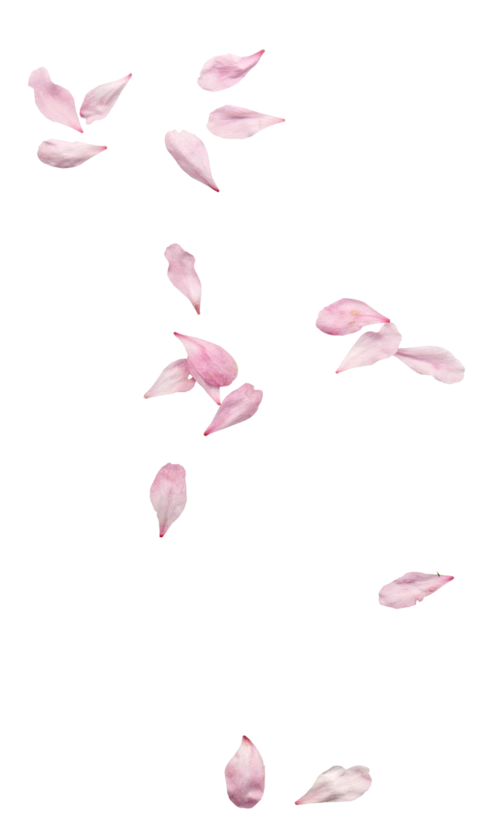 花瓣-花瓣网|陪你做生活的设计师 | 暑天png 元素 素材 免抠 png素材