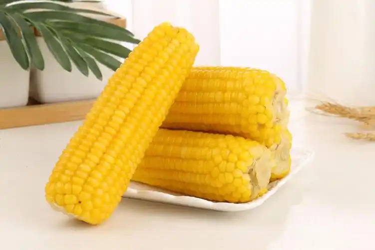 速冻金黄糯玉米16支装头茬新规格包装2穗一袋保温箱发货 冰袋