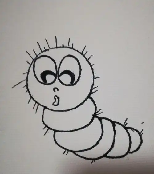 泾华学校小学部校本课程美术篇之"毛毛虫的画法"(副本)